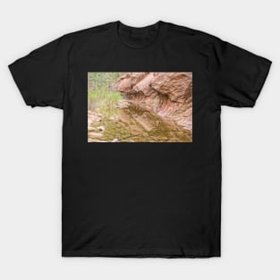 Red Rock National Park T-Shirt